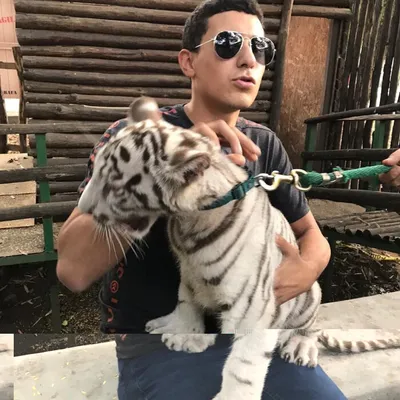 Luisitotime