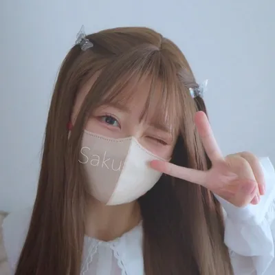 Sakujfree