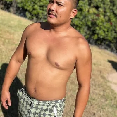 Islandguyjay