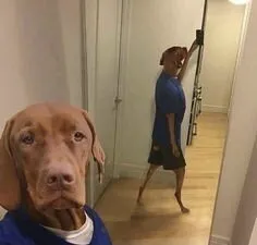 bobokubpee onlyfans bobokubpee