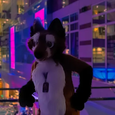 Matthewfoxbe