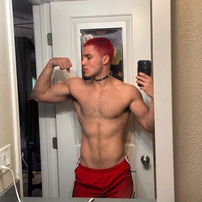 Gayvro