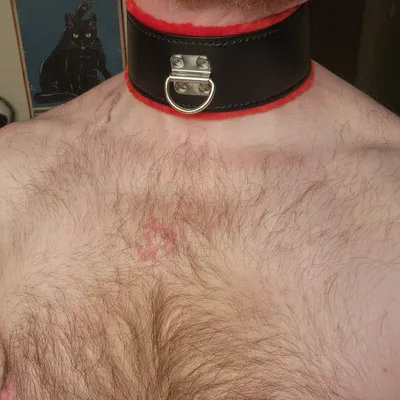 calicoqueer onlyfans calicoqueer