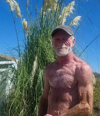 Daddyplow