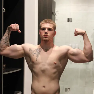 Therippeditalian
