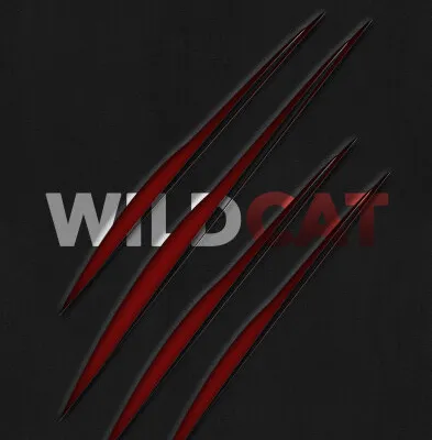 Wildcatmagazine