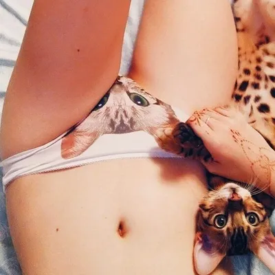 Catpussy