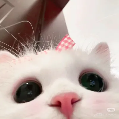 Me0629