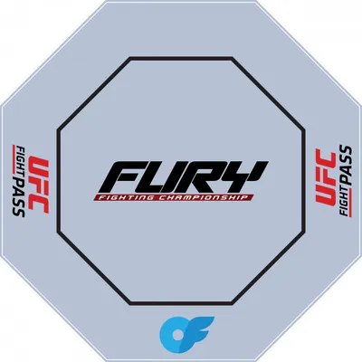 Furyfighting
