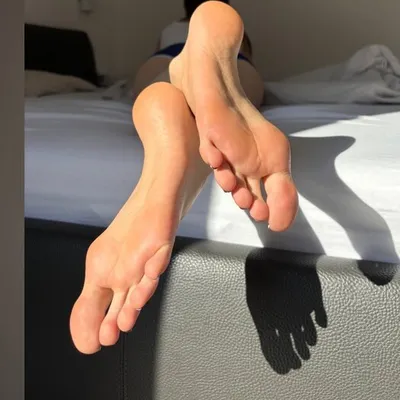 Thebellavibevip