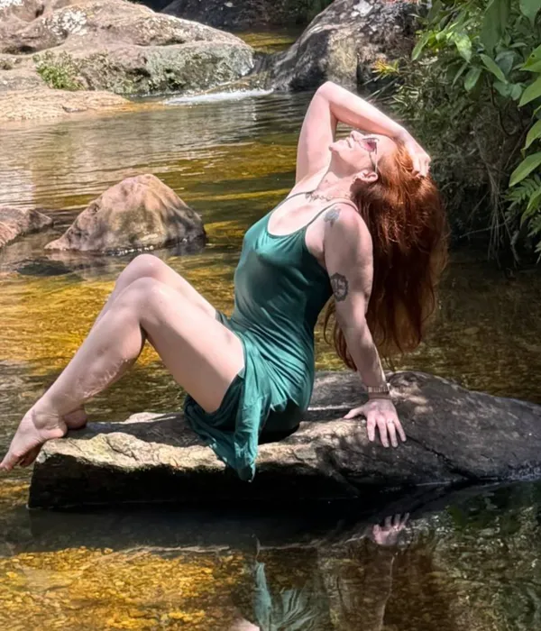 The Fairy Secrets 🧚