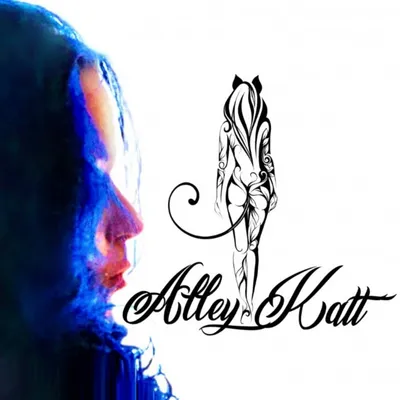 Alleykatt2