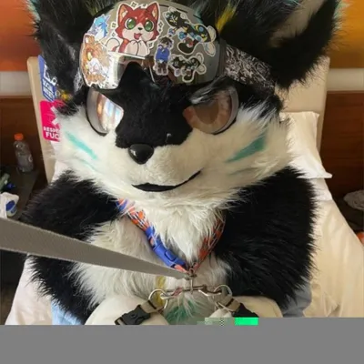 Femboydoggo