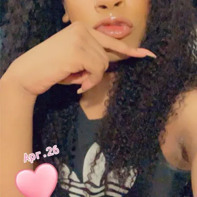 Parisdastallion