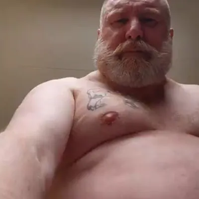 Bearinheat