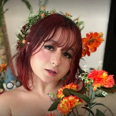 Gigiskyemodel