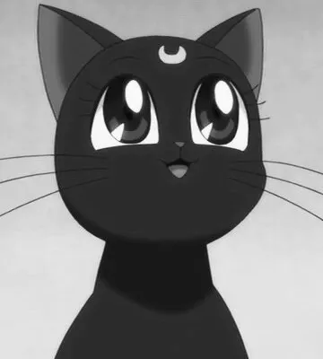 Kittentears