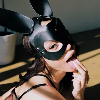 Alexistaex
