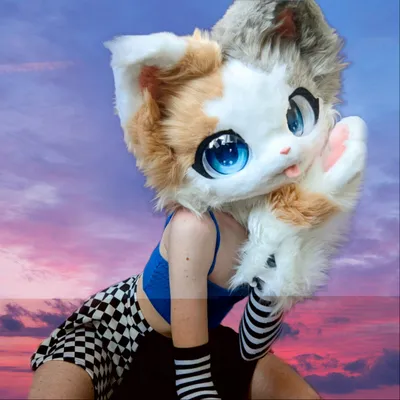 Catexclusive