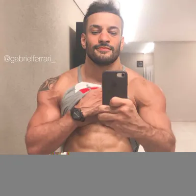 Gabrielferrari
