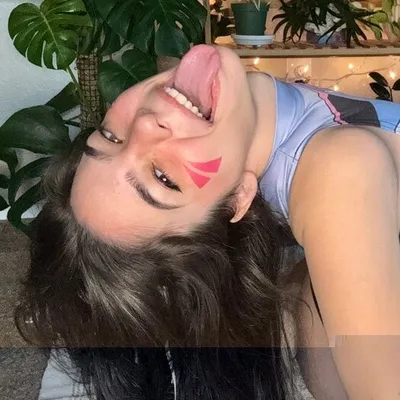 Softdahliaxo