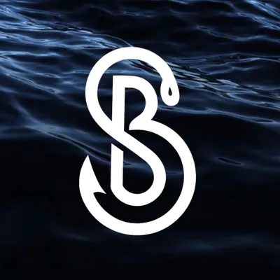 Saltyboys